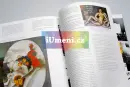 66. bulletin Moravské galerie v Brně (2010) - bulletin-mg-2010_4.webp