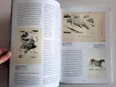 Zdeněk Burian. Vlastní cestou - burian-vlastni-cestou_4.webp