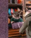 Butik pana Barona - butik_3.webp