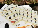 Bzzz – hravá enycklopedie o hmyzích opylovačích - bzzz_4.webp