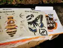 Bzzz – hravá enycklopedie o hmyzích opylovačích - bzzz_5.webp