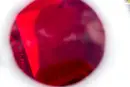 Co se skrývá v lese? - co-se-skryva-les_3.webp