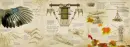 Leonardo Da Vinci. Fantastické vynálezy - da-vinci-3d_2.webp
