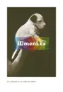 Dášeňka čili život štěněte - dasenka_4.webp