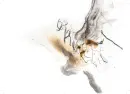 Deset doteků - Šejn Miloš - deset-doteku_2.webp