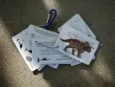 Dinosauři - kapesní atlas - dinosauri-bylo_3.webp