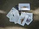 Dinosauři - kapesní atlas - dinosauri-bylo_4.webp