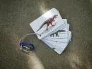 Dinosauři - kapesní atlas - dinosauri-bylo_5.webp