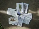 Dinosauři - kapesní atlas - dinosauri-bylo_6.webp