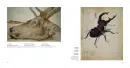 Dürer - durer_3.webp