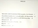 Eros v evropské grafice / v průběhu staletí - eros_2.webp