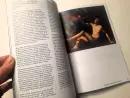Európska maĺba - europska-malba_3.webp
