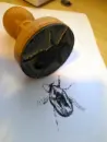 EXLIBRIS razítko (dle vlastního návrhu) - ex-libris-cokoli_6.webp