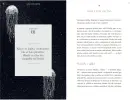 Fantastické chobotnice - výprava do neznámého světa - fantast-chob_2.webp