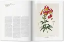 A Garden Eden. Masterpieces of Botanical Illustrat - garden-eden_1.webp