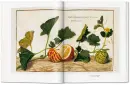 A Garden Eden. Masterpieces of Botanical Illustrat - garden-eden_3.webp