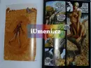 Generace 0 - almanach českého komiksu - generace0_4.webp