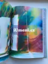 Katharina Grosse. Wunderbild (original cover) - grosse_2.webp
