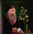 Harry Potter: Cesta dějinami čar a kouzel - harry-kouzla_2.webp