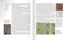 Hledání harmonie. Studie z čínské kultury - hledani-harmonie_2.webp
