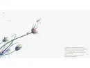 Hlemýždím tempem - hlemyzdim-tempem_4.webp