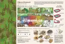 HRANA Pravěk - hrana-21_1.webp