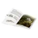 Hrúdy, úlety a MORDYJE - Lednice, Valtice, Podluží - hrudy_2.webp