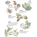 Hrúdy, úlety a MORDYJE - Lednice, Valtice, Podluží - hrudy_3.webp