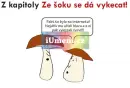 Hustej INTERNET - hustej-internet_4.webp