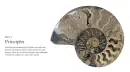 Arts &amp; Crafts of the Islamic Lands: Principles • M - islamic-land_2.webp
