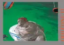 Boris Jirků - Světlo před světlem - jirku-svetlo_2.webp