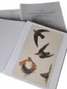The John James Audubon Portfolio - john-audubon_1.webp