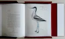 The John James Audubon Portfolio - john-audubon_2.webp