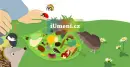 Jůlinka z jedlé zahrádky - julinka_4.webp