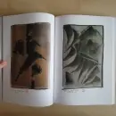 Dimitrij Kadrnožka - kvaše - kadrnozka-kvase_3.webp