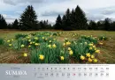 Kalendář Šumava 2022 - Jiří Plachý - kalendar-plachy-22_4.webp