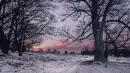 Kalendář Šumava 2023 - Jiří Plachý - kalendar-plachy-23_2.webp