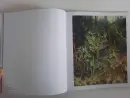 Adam Kašpar - kaspar-books_7.webp