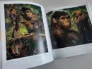 Když Brnem táhli mamuti - Galerie Zdeňka Buriana - kdy-brnem-burian_1.webp