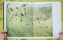 Ester Knapová: Zimní jablka - knapova_1.webp