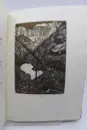 Zlatý kolovrat -  K. J. Erben (bibliofilie) - kolovrat-erben_5.webp