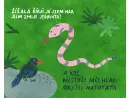 Kosáku, co to máš v zobáku? - kosaku_4.webp