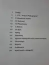 Josef Koudelka: Next (česky) - koudelka-next-cz_8.webp