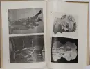 Krásy a bohatství české země - krasy-ces-zem_3.webp