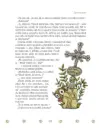 Muřinoh a Krchomilka - krchomilka_4.webp