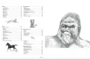 Kreslení zvířat - kresleni-zvirat_2.webp
