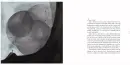 Krtník - krtnik_1.webp