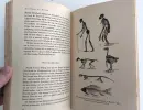 Du und das Leben. Eine moderne Biologie für Jedermann - leben_3.webp