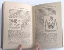 Du und das Leben. Eine moderne Biologie für Jedermann - leben_4.webp
