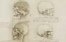 Leonardo da Vinci - Anatomický atlas (exkluzivní, ručně vázané vydání) - leonardo-exkl_3.webp